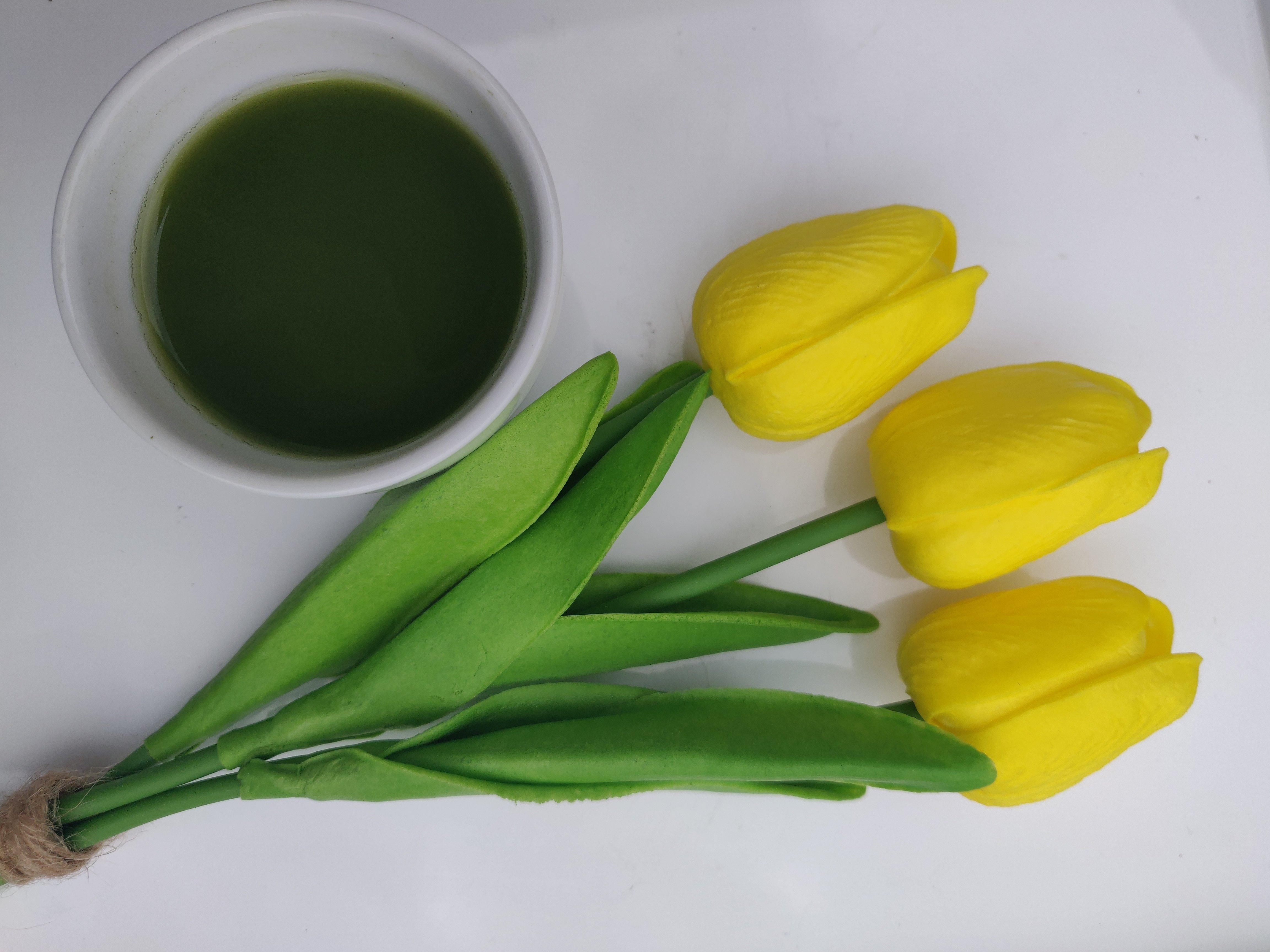 Opening-to-Spring-Tea-Ceremony-Qigong-Meditation2